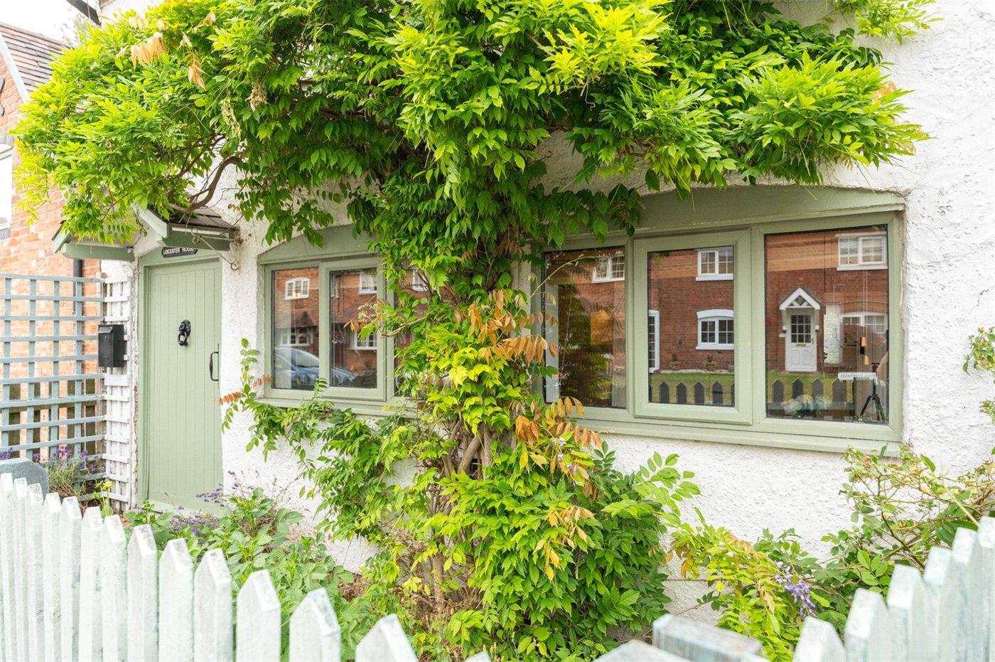 Front Wysteria